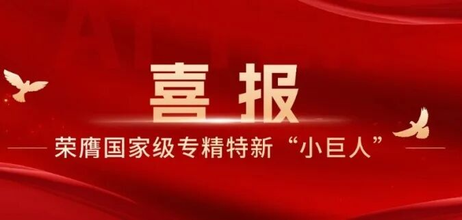 710公海寰宇荣膺国家级专精特新“小巨人”